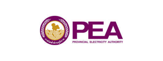 Provincial Electricity Authority